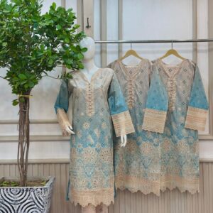 Cotton print embroidered winter Fabric 3pc